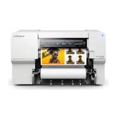 Eco-Solvent and Sublimation Printers